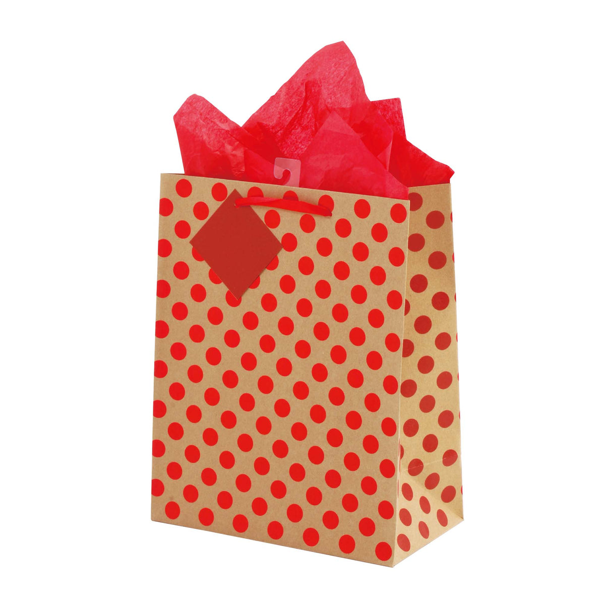 Wholesale All Occasion Gift Bags - Pretty Design for Every Day Gifts