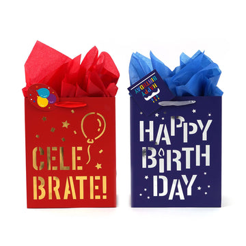 2Pk Large Birthday Celebrate Stencil/Hot Stamp Gift Bags, 2 Designs