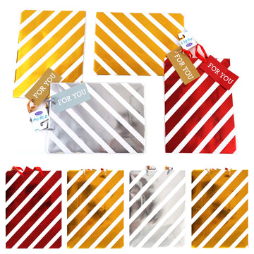 2Pk Extra Large Big Diagonal Stripe Hot Stamp Premium Plus Bag, 3 Designs