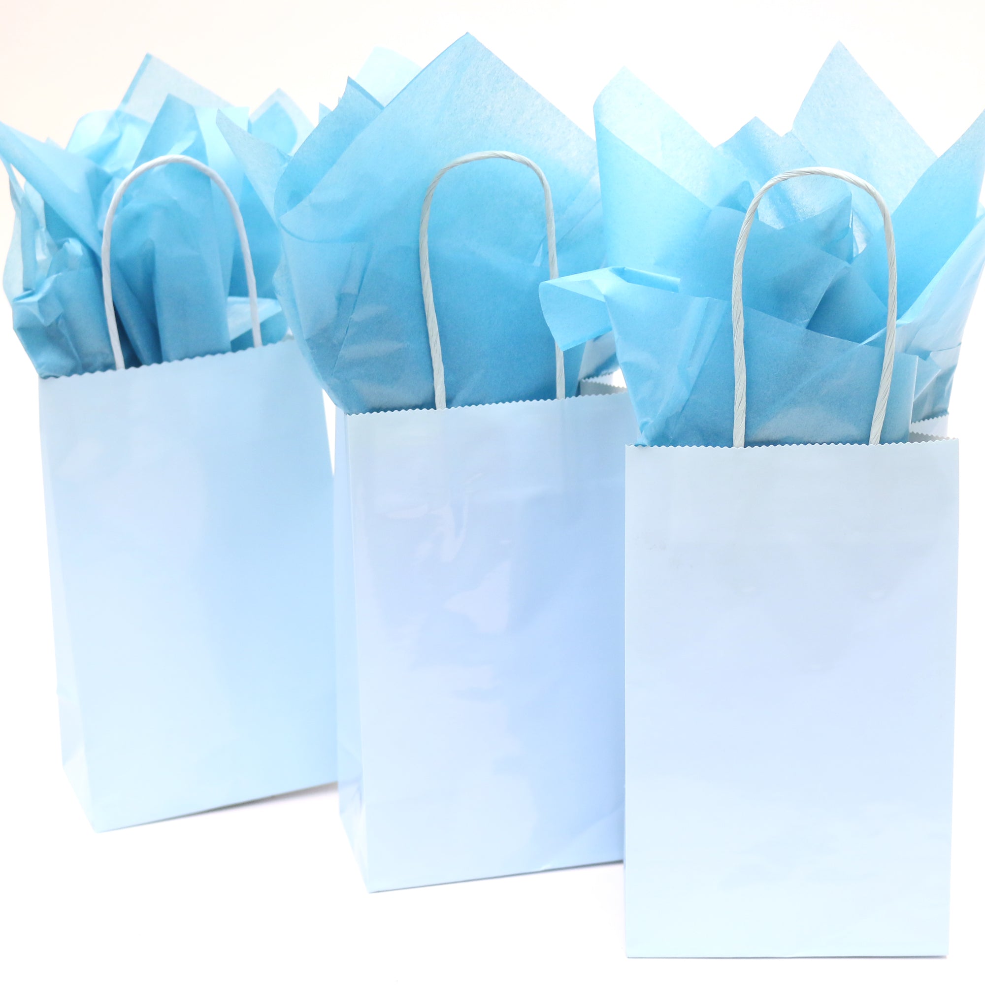 Wholesale All Occasion Gift Bags - Pretty Design for Every Day Gifts