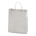 Euro Medium Silver Gift Bag