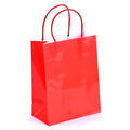 Euro Medium Coral Gift Bag