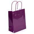 Euro Medium Plum Gift Bag